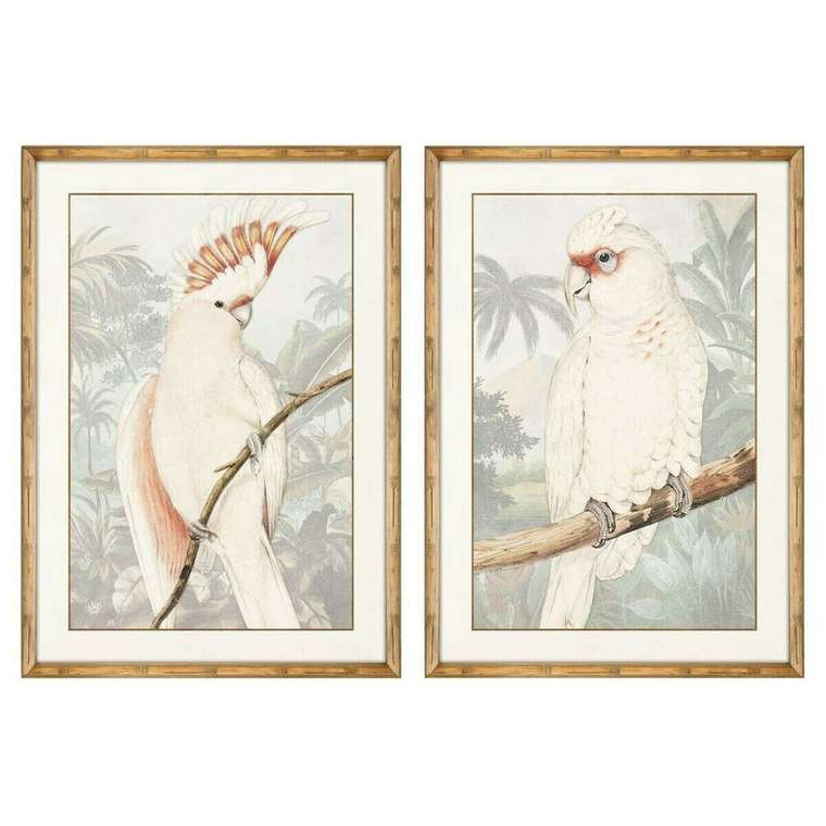 Картина Попугай Тропический 50 x 3 x 70 cm (2 штук)