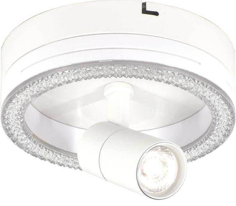 Настенно-потолочный светодиодный светильник Escada 20044LED 20044SMA/01LED WH 20Вт, металл/акрил, белый