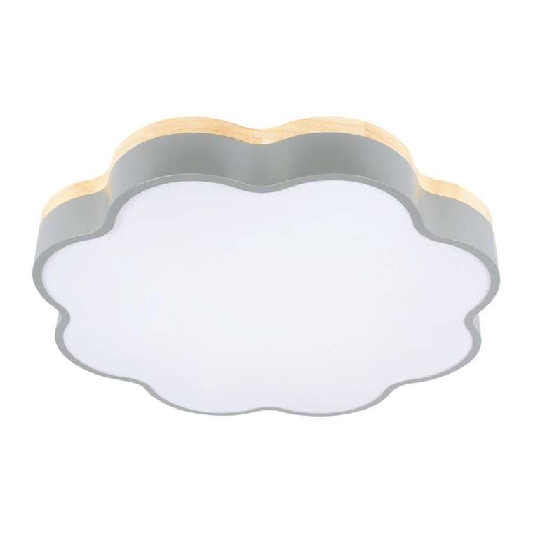 Потолочный светильник Axel 10225/36 Grey (пластик, цвет белый)