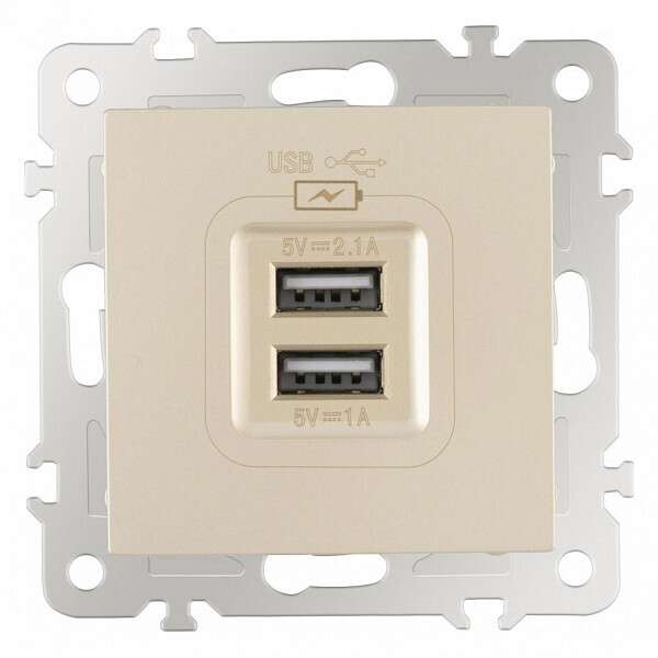 Розетка USB, без рамки 206.46-1.shampan