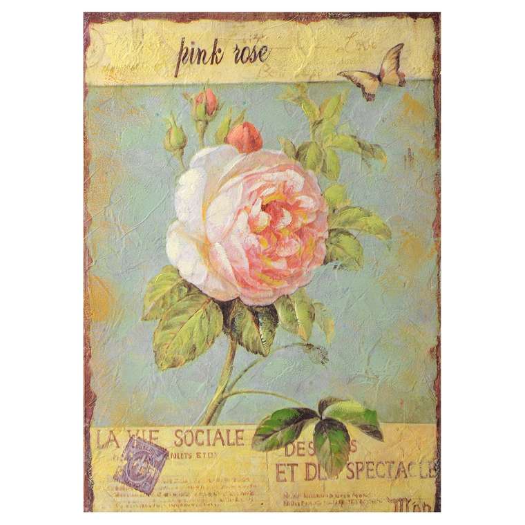 Постер с красной розой