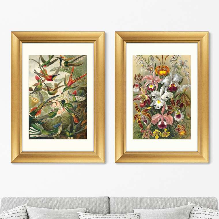 Набор из двух репродукций картин Art forms of nature №6 1897 г.