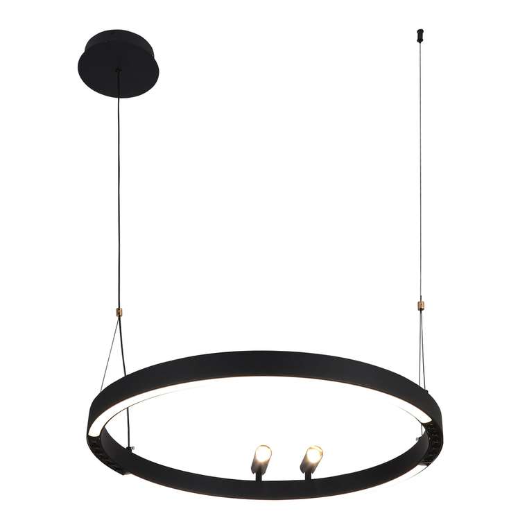 подвесная люстра Slinga металл, пластик LED*58W + 2*LED*3W, 1860LM, 3000-6500K, included, remote control
