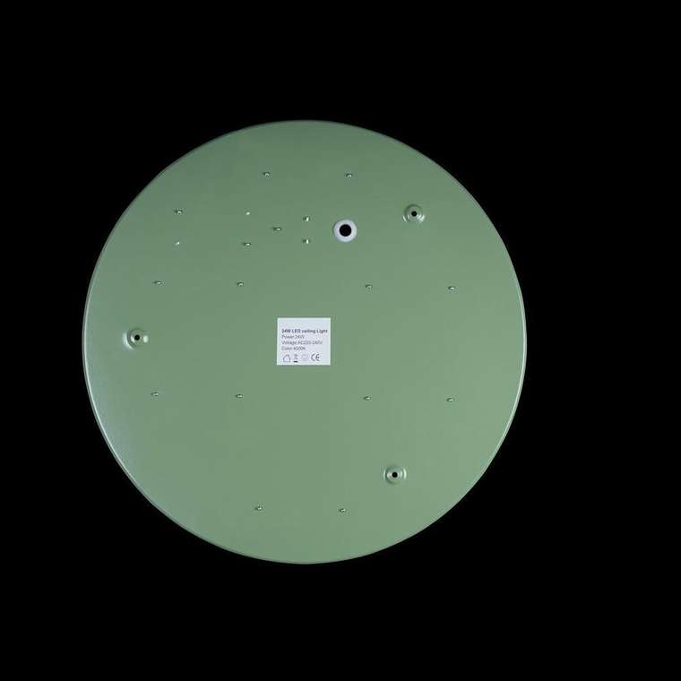 Потолочный светильник Axel 10002/24 Green (пластик, цвет белый)