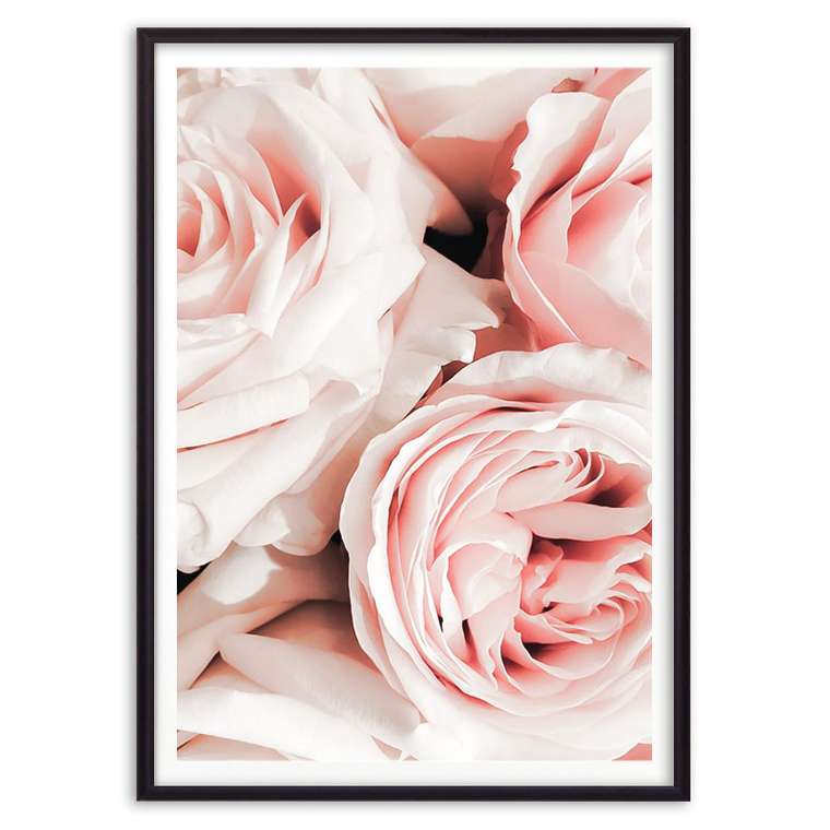 Постер в рамке Розовые розы 21х30 см