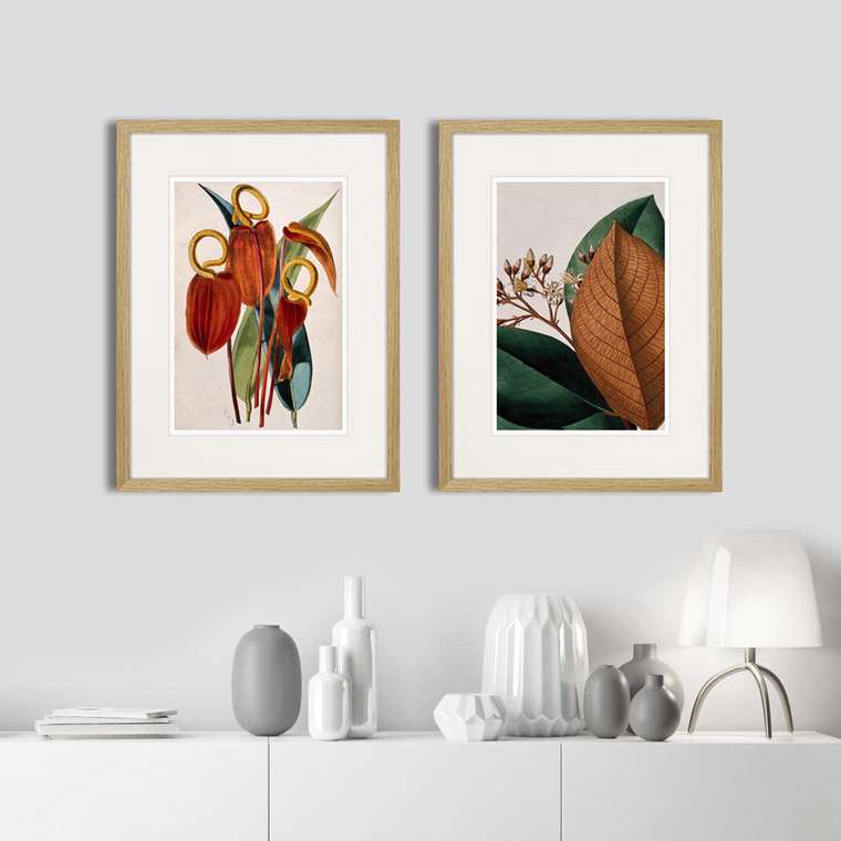 Набор из двух картин Exotic plants of the world №2 