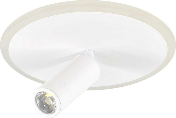 Настенно-потолочный светодиодный светильник 20046LED Escada 20046SMA/01LED WH 20Вт, металл/акрил, белый