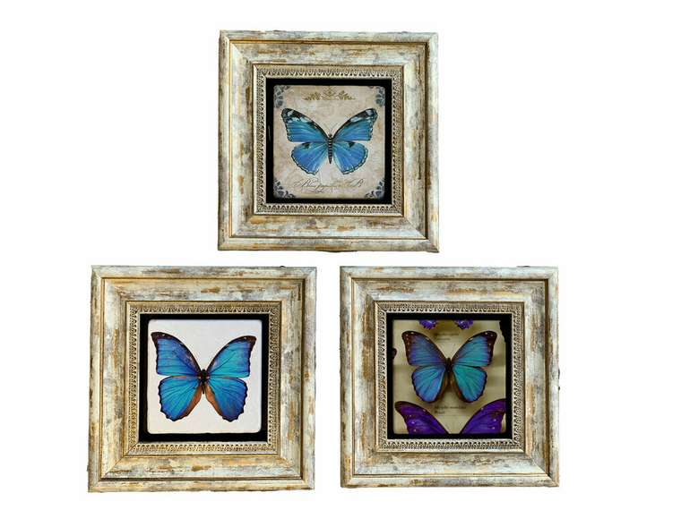 Набор из трех картин на камне Бабочки 20x20 3CDD-84 в раме серо-бежевого цвета