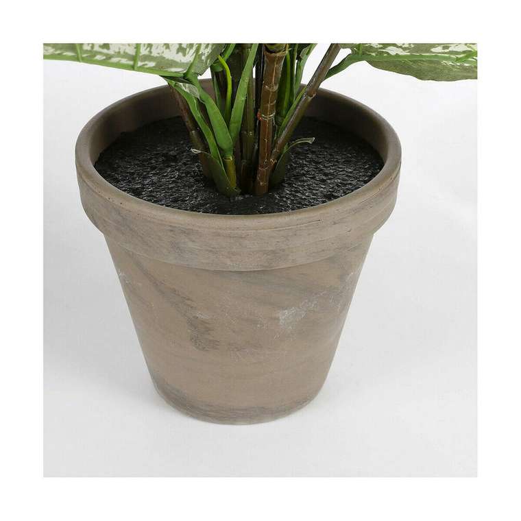 Декоративное растение Dieffenbachia Dieffenbachia Зеленый PVC (15,7 x 70 cm)