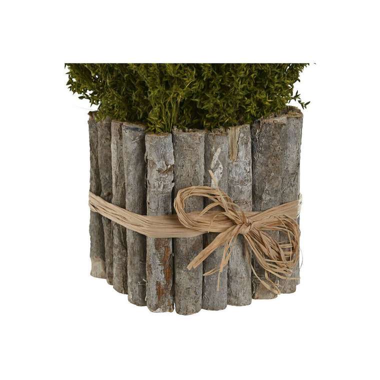 Декоративное растение Цветок 18 x 18 x 24 cm (2 штук)