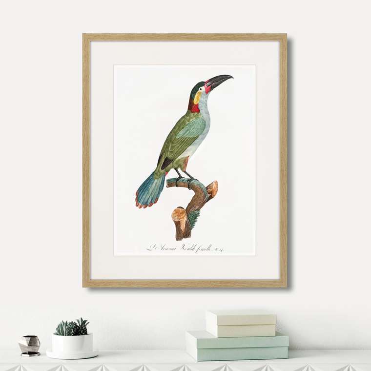 Набор из четырех картин Beautiful toucans 