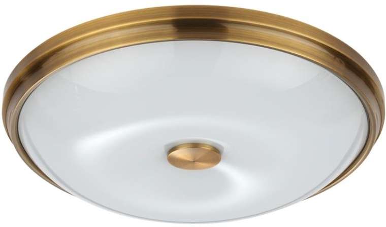 Настенно-потолочный светильник Odeon Light Pelow 4956/4