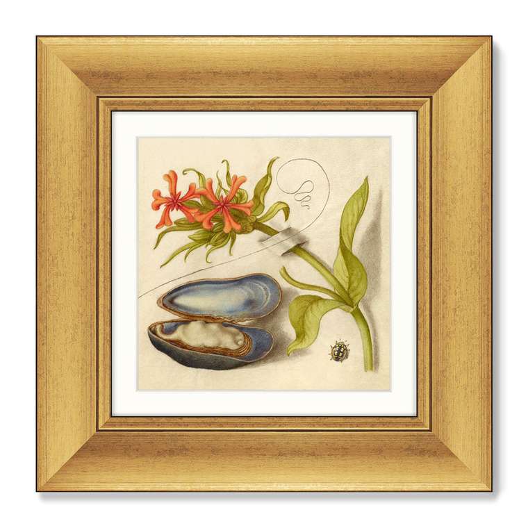 Набор из двух репродукций картин Spanish Chestnut, 1561г. 