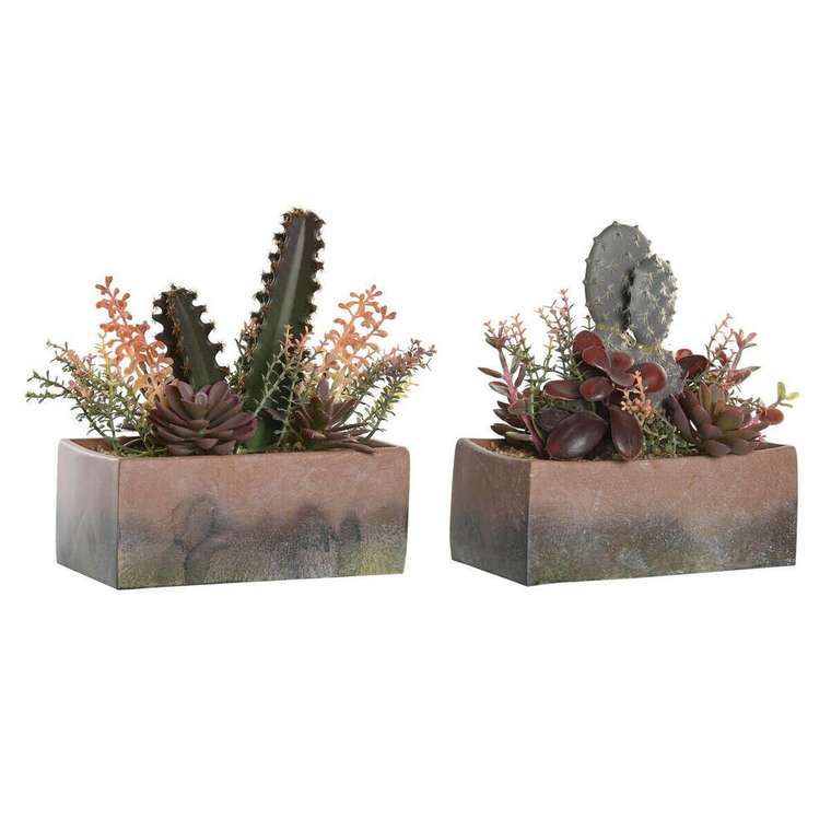 Декоративное растение 19 x 9 x 22 cm Розовый Оранжевый Кактус Резина Eva полипропилен (2 штук)