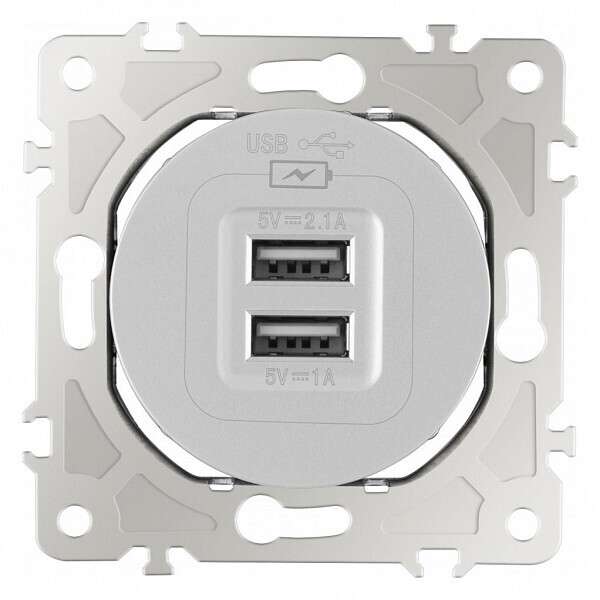 Розетка USB, без рамки 202.46-1.silver