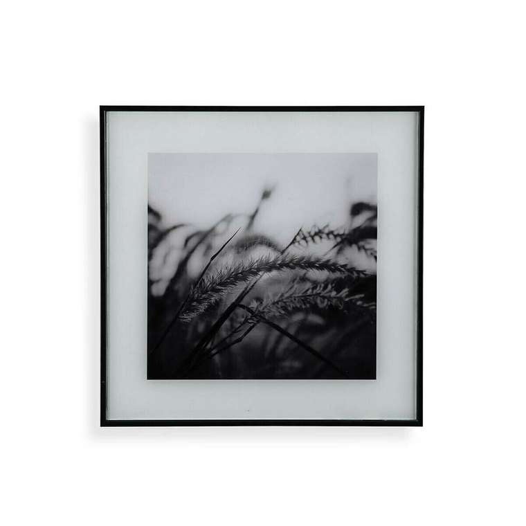 Картина Белый Чёрный Стеклянный 2 x 30 x 30 cm