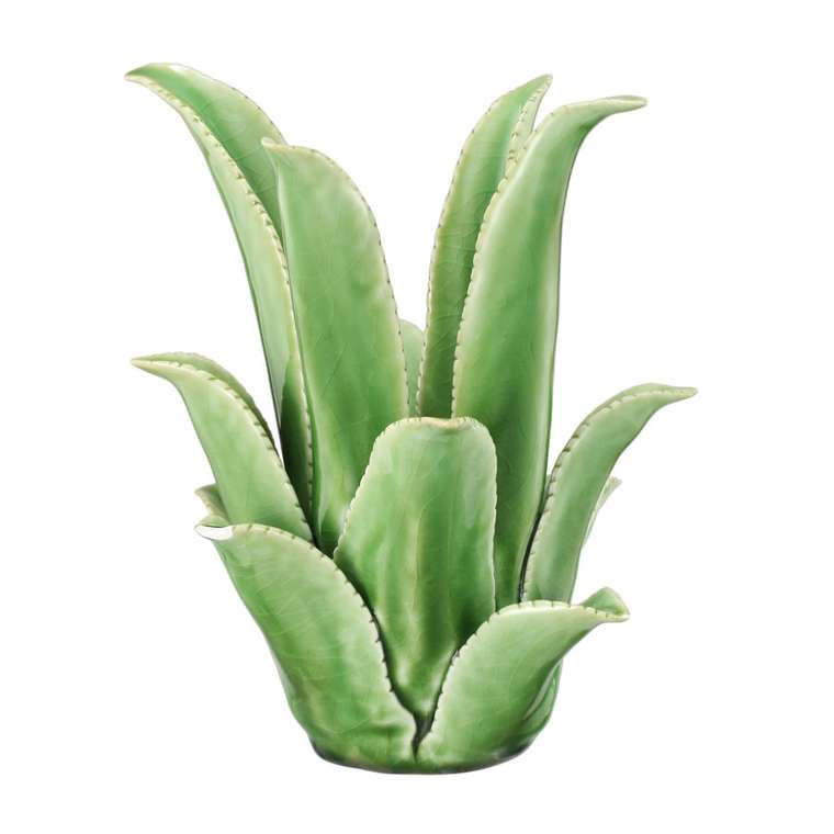 Подсвечник Evergreen Agave