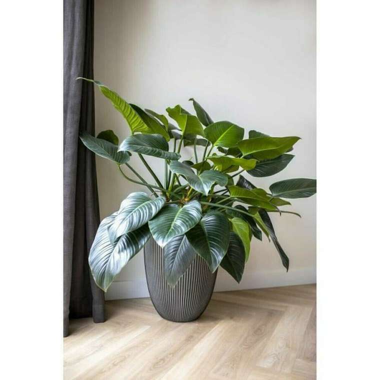 Кувшин GROOVE NL Антрацитный Пластик 34 x 34 x 46 cm