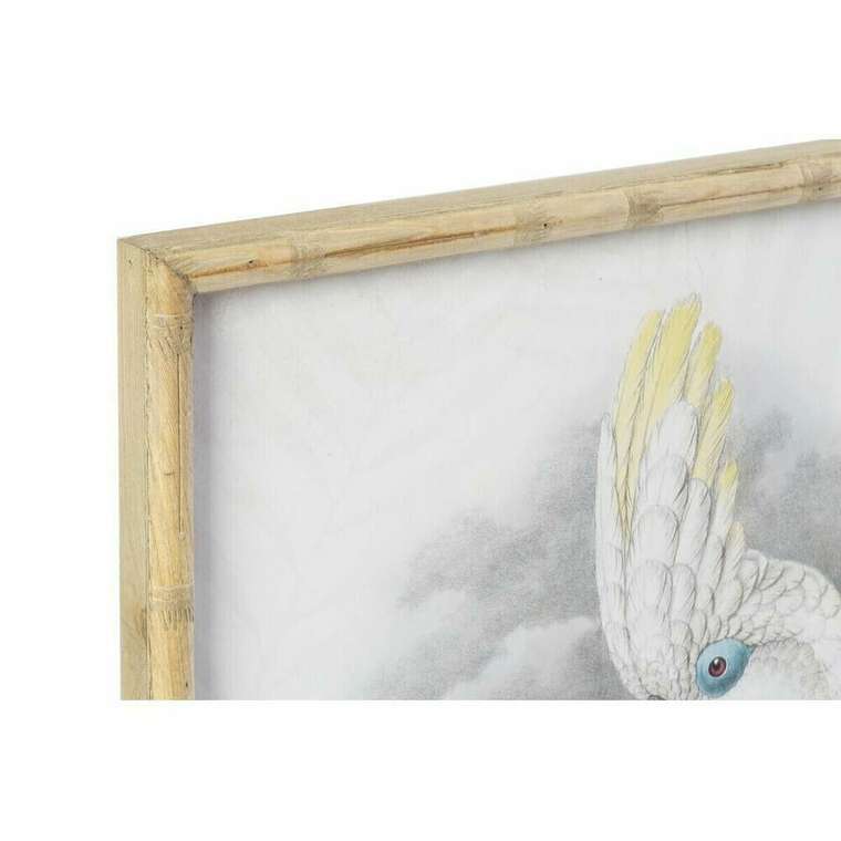 Картина 50 x 2,8 x 70 cm Колониальный Попугай (2 штук)