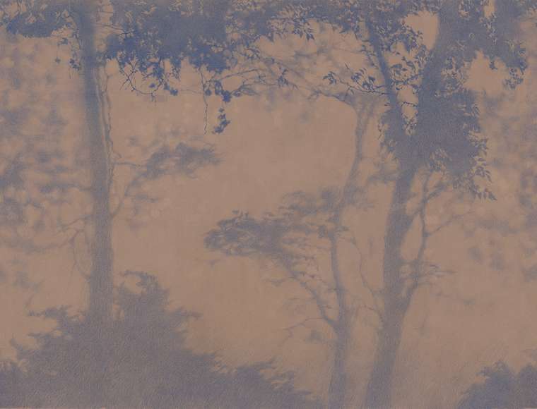 Обои Siesta №5 шовные на флизелиновой основе