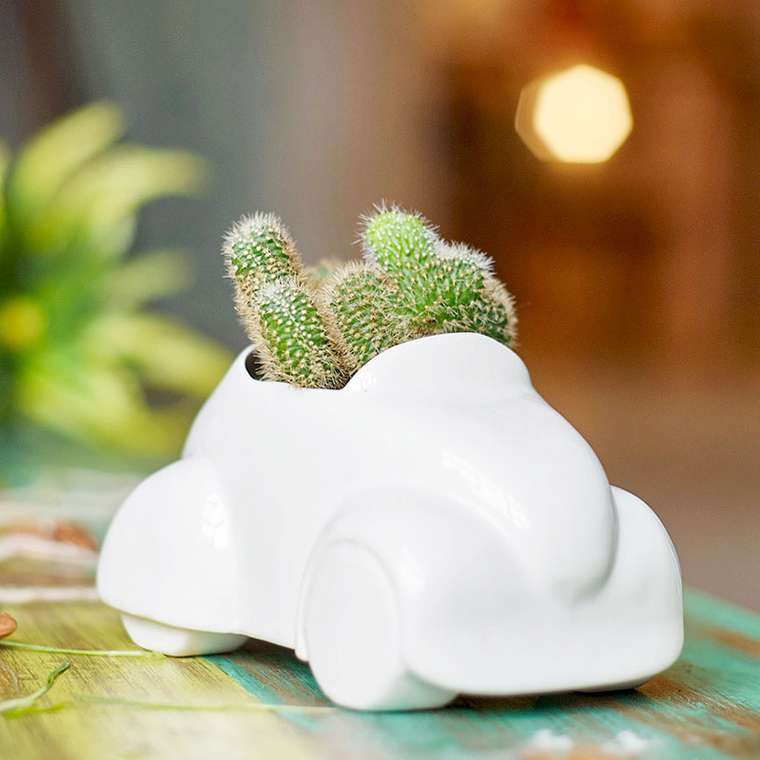 Набор для выращивания Экочеловеки eco машина