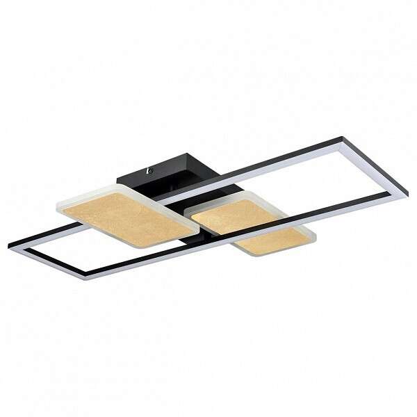 Накладной светильник GOLDY 6575/80CL
