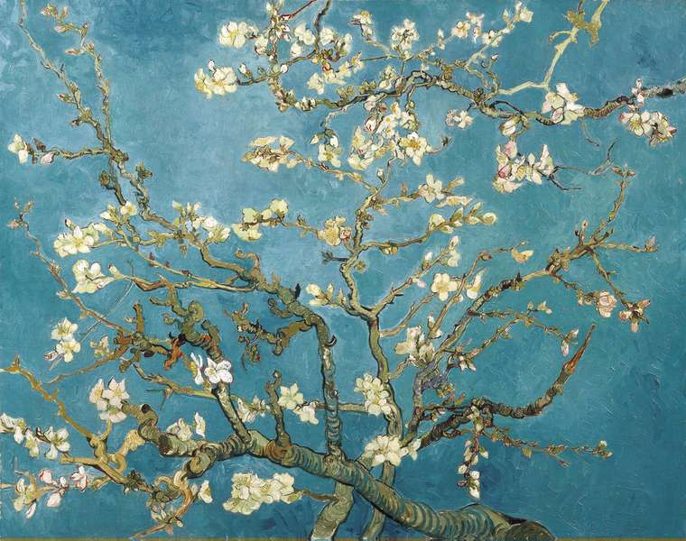 Картина (репродукция, постер): Branches with Almond Blossom, 1890 - Винсент Ван Гог