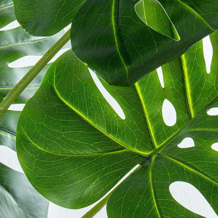 Декоративное растение Пластик Monstera 150 cm