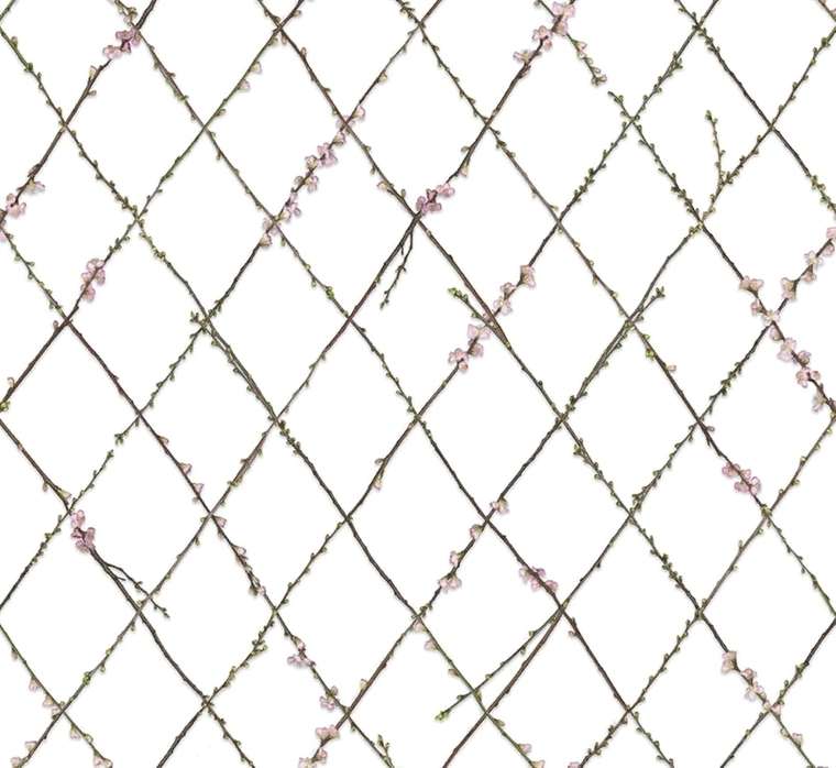 Дизайнерские обои Winding Spring