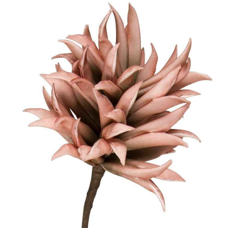 Искусственный цветок Dinah кораллового цвета