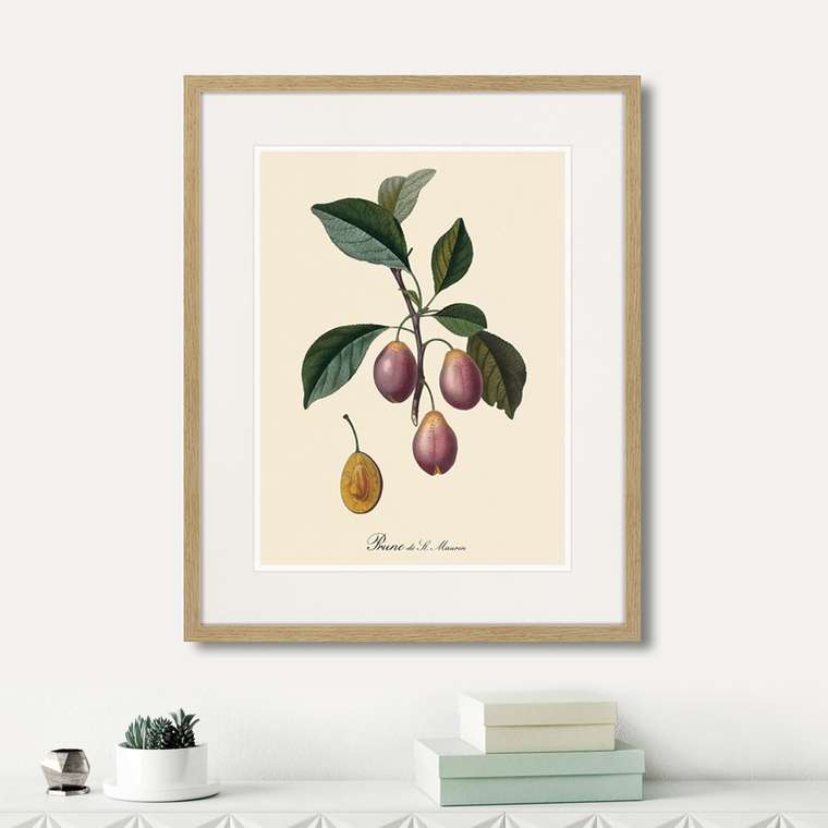 Набор из шести картин Juicy fruit lithography №4 