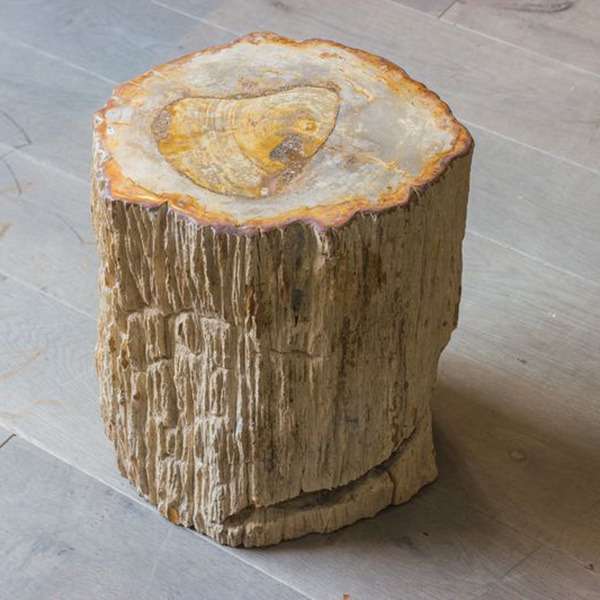 Журнальный столик Stump из окаменелого дерева 
