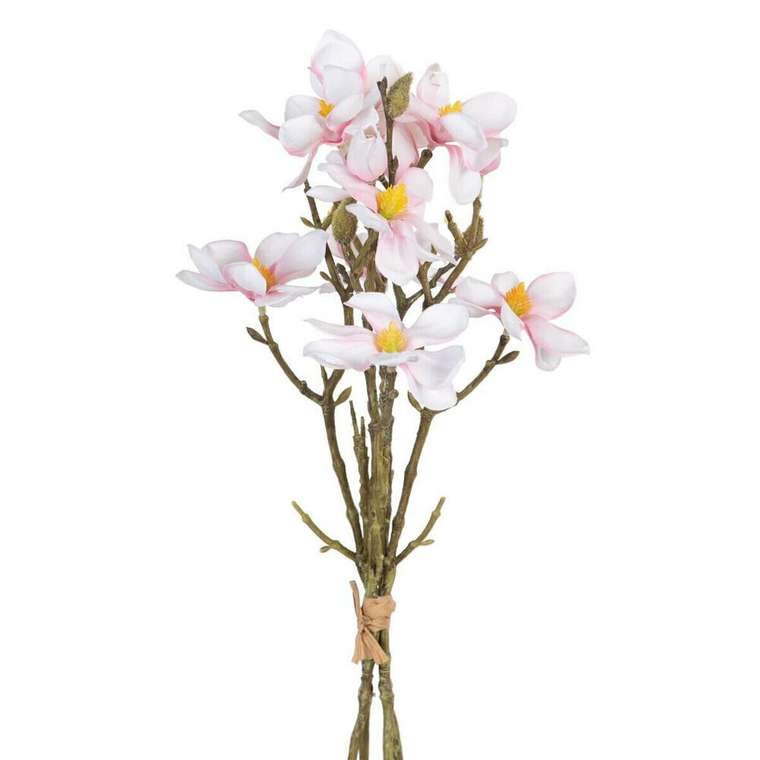 Букет Зеленый Розовый 37 x 20 x 41 cm Magnolia