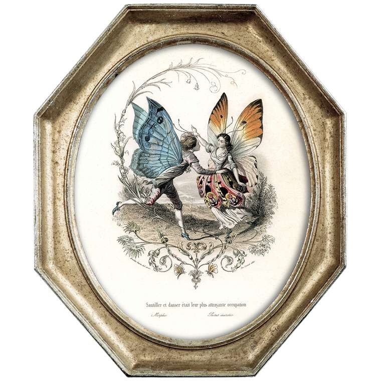 Картина Танец двух бабочек в раме Эдита