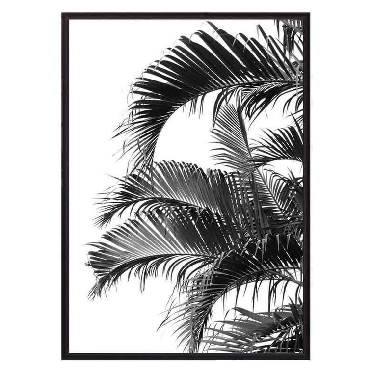 Постер в рамке Пальмовые листья 21х30 см