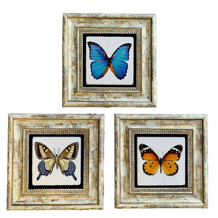 Набор из трех картин на камне Бабочки 20x20 3CDD-90 в раме серо-бежевого цвета