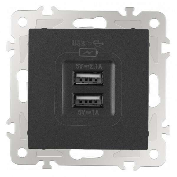 Розетка USB, без рамки 206.46-1.black