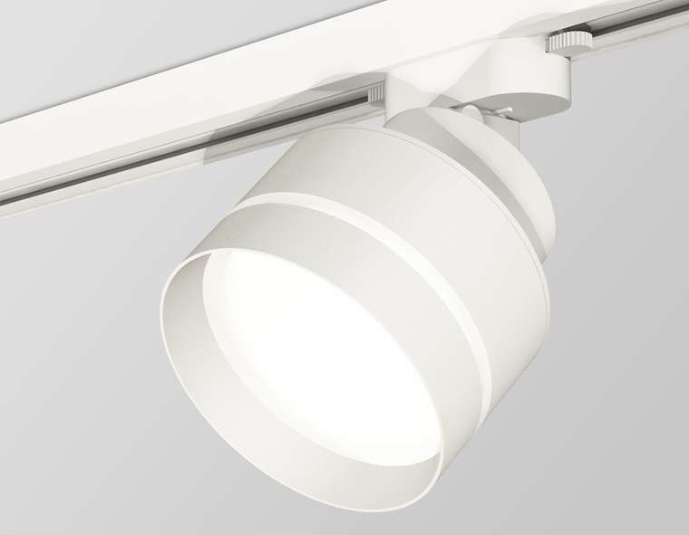 Трековый светильник Ambrella Light Track System XT8101025 (A2524, A2105, C8101, N8461)