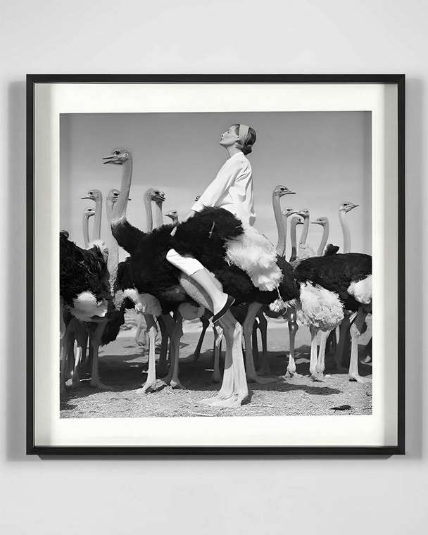 Постер Wenda Ostriches 90х90 серого цвета