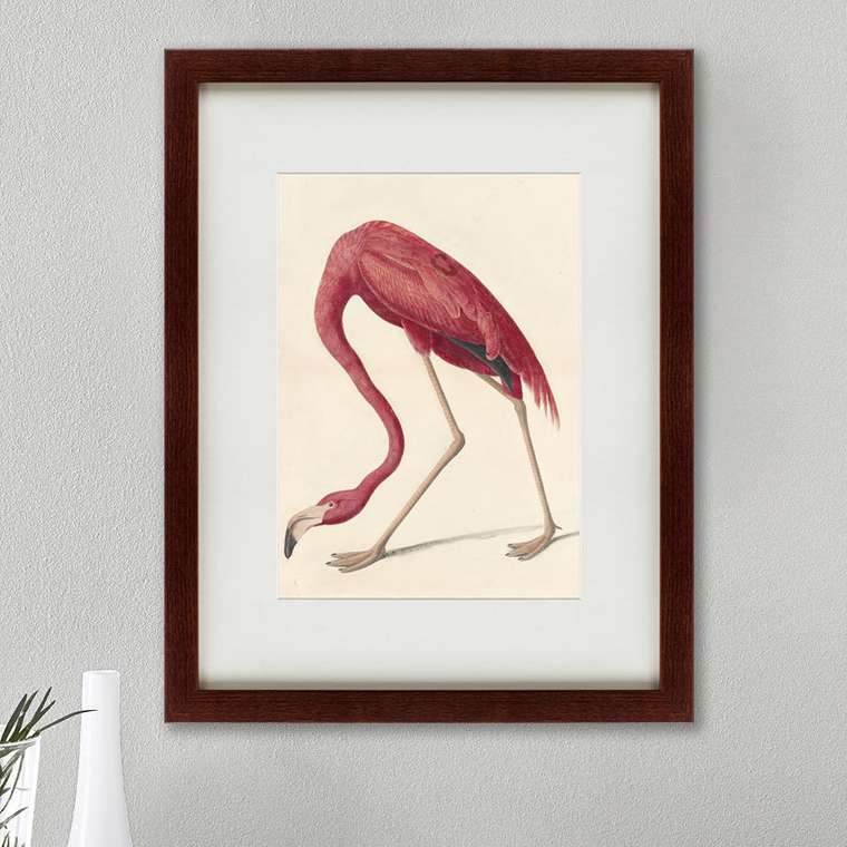 Картина Американский фламинго 1822 г.