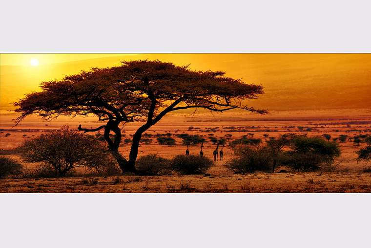 Репродукция Glas Art Melancholie of Africa
