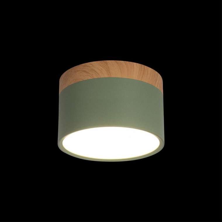 Накладной светильник Grape 10162 Green (пластик, цвет зеленый)