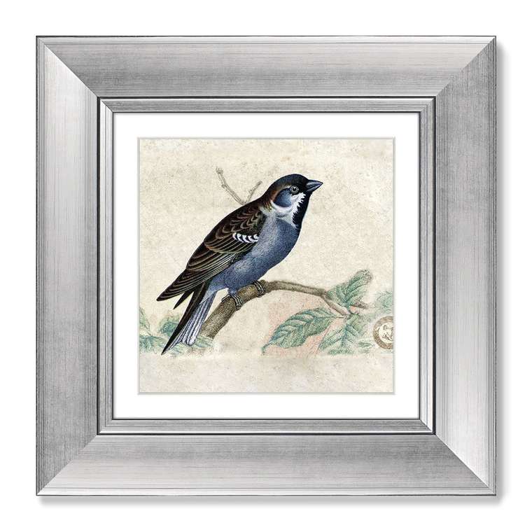 Картина Птицы винтажная почтовая открытка №1 1918 г.