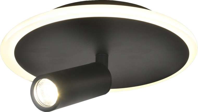 Настенно-потолочный светодиодный светильник 20046LED 20046SMA/01LED BK 20Вт, металл/акрил, черный