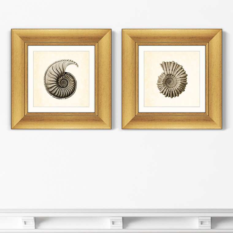 Набор из двух картин Морской обитатель №2 1877 г. 