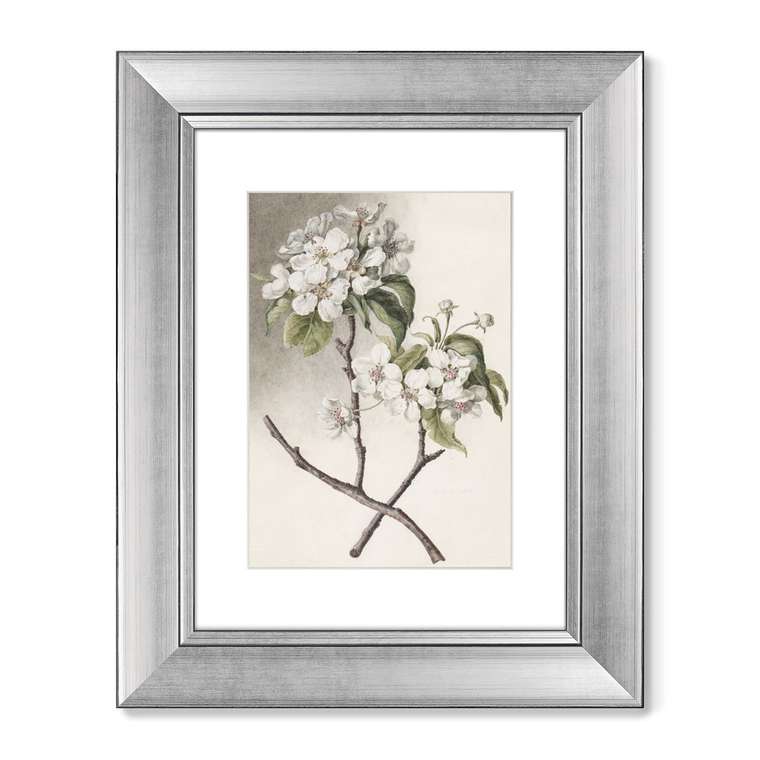 Набор из двух картин Watercolor over pencil etude №2 1750 г.