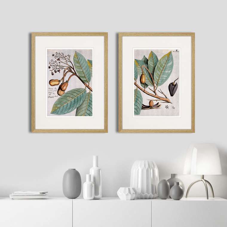 Набор из двух картин Exotic plants of the world №3