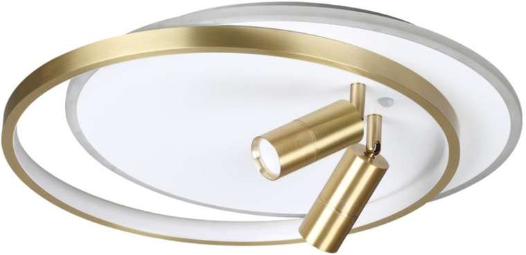 Потолочная LED люстра с ПДУ Lumion Naoko 5603/63CL