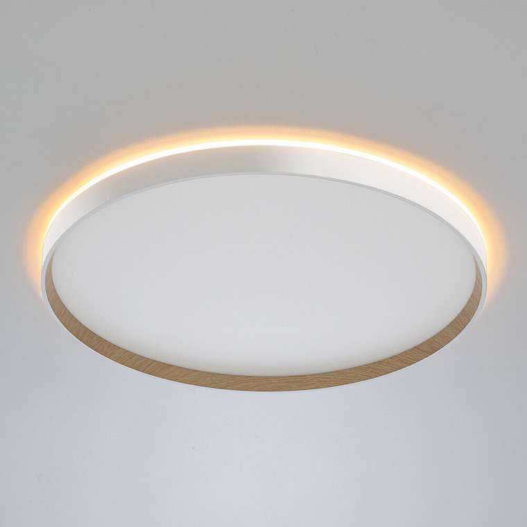 Citilux ETALON CL750500R LED RGB Светильник с пультом Белый+Бук