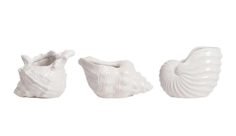 Набор декоративных ракушек Monpelier